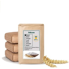 تصویر نشاسته گل گندم 