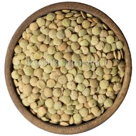تصویر عدس درشت 