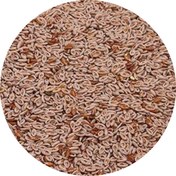 تصویر اسفرزه 