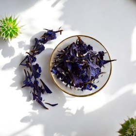 تصویر گل گاو زبان قزوین 