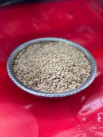 تصویر عدس پلویی (درشت) 