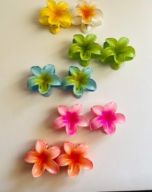 تصویر کلیپس پلومریا - ابی 