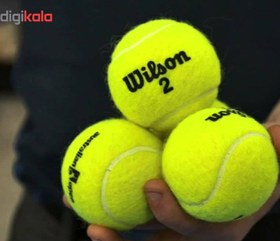 تصویر توپ تنیس ویلسون مدل Championship بسته 3 عددی ا Wilson Championship Tennis Balls Pack Of 3 Wilson Championship Tennis Balls Pack Of 3