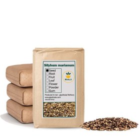 تصویر بذر خار مریم خشک فله 