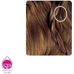 تصویر کیت رنگ ابرو قهوه ای متوسط بیول -4.0 (N4) 