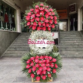 تصویر گل نمایشگاهی هوشنگ 