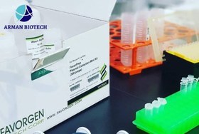 تصویر کیت استخراج پلاسمید مینی محصول یکتا تجهیز (Plasmid DNA Extraction mini Kit) 