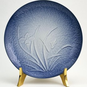 تصویر دیس آریتا 