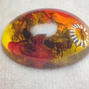 تصویر سنگ کهربا سنتاتیک پودری،حشره دار 