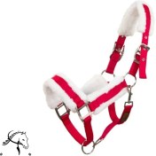 تصویر کله گیر خزدار فیدل ( کد 0034) 