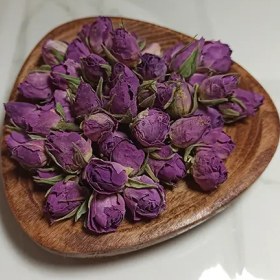 تصویر غنچه گل محمدی 