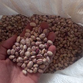 تصویر لوبیا چیتی ممتاز (5کیلوگرم) 