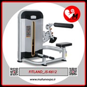 تصویر دستگاه بدن سازی فیله کمر مدل FITLAND_JS-K612 