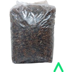 تصویر چای ساقه گیلان(چوب چای)بهاره 1404 