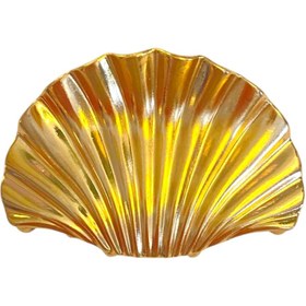 تصویر کلیپس فلزی صدفی 