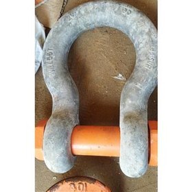 تصویر شگل 55 تن 