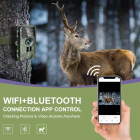 تصویر دوربین تله‌ای Lutranstra Wildkamera Lutranstra Wildtierkamera (trail/wildlife camera