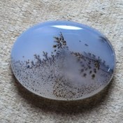 تصویر شجر قائنات. 