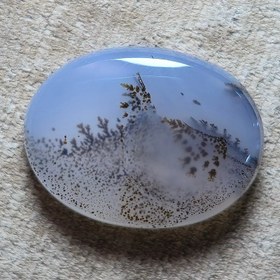 تصویر شجر قائنات. 