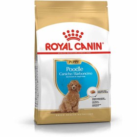 تصویر غذای خشک توله سگ پودل رویال کنین 3 کیلویی Royal Canin Poodle Puppy 3kg