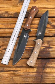 تصویر شکاری بزرگ T183 