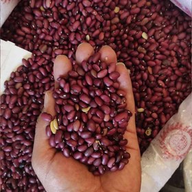 تصویر لوبیا قرمز lobia