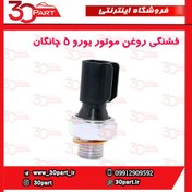 تصویر فشنگی روغن یورو 5 چانگان CS35 
