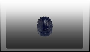 تصویر سرپنجه پرچین آبی کاربنی 