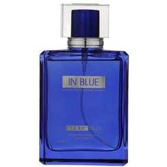 تصویر عطر ادوپرفیوم مردانه رودیر پلاس مدل IN Blue حجم ۱۰۰ میلی لیتر خنک تلخ 