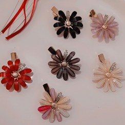 تصویر انبری مجلسی 