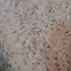 تصویر برنج شیرودی 