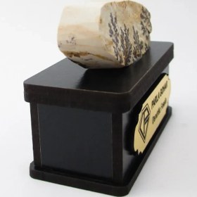 تصویر سنگ شجر فسیلی (دندریتی ) کد 2195 