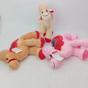 تصویر فروشگاه مرکزی قشم