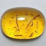 تصویر کهربا طبیعی زردوطلایی نفیس، کاملا طبیعی 