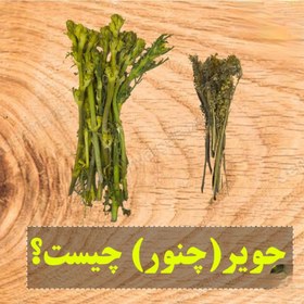 تصویر چویر - چنور - چنگویر (۷۵ گرمی) - عطار کورد 