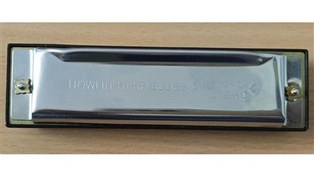 تصویر سازدهنی دیاتونیک استگBJH-B20 C به همراه خودآموز 