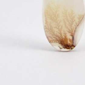 تصویر سنگ شجر کد 2393 