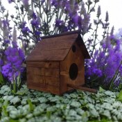 تصویر آشیانه پرنده چوبی دستساز کد 19 