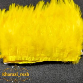 تصویر پر خروس متری - ۱۲ 