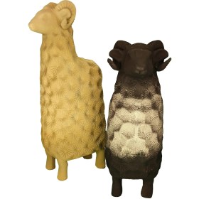 تصویر مشتی میش بزرگ 