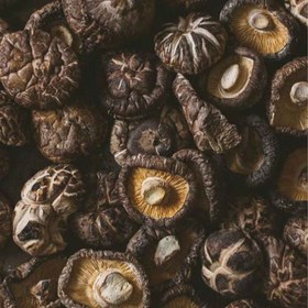 تصویر قارچ شیتاکه 