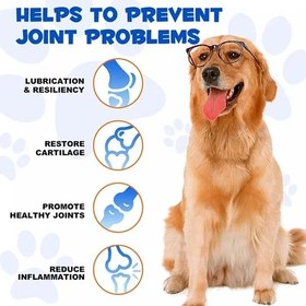 تصویر تشویقی مراقبت مفاصل اویمال 60 میلی لیتر Oimmal joint aid & relief for dogs 60 m