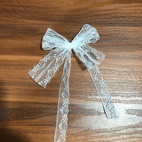 تصویر گیره مو پاپیونی 