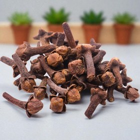 تصویر گل میخک خشک 