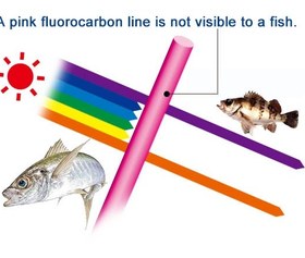 تصویر شوک لیدر فلوروکربن Duel Pink Fluorocarbon FISH CANNOT SEE 