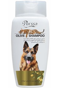 تصویر شامپو سگ و گربه پرسا مدل های عسل،شیر،نرم کننده 250 میل (Persa-dog-and-cat-shampoo-honey-milk-softener-models-250-ml)