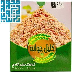 تصویر گیاهک گندم کلیل جوانه 91 - 200 گرم Wheat germ clover germ 91 - 200 g