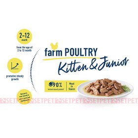 تصویر پوچ بچه گربه ویسکاس طعم مرغ 85 گرم Whiskas Junior Kitten Chicken 100g