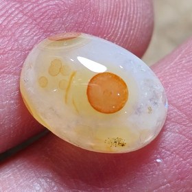 تصویر باباقوری طبیعی 