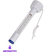 تصویر دماسنج شناور استخر Floating Thermometer
